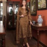 Banarasi Collection Brown