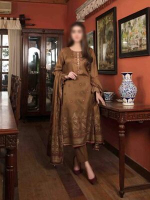 Banarasi Collection Brown