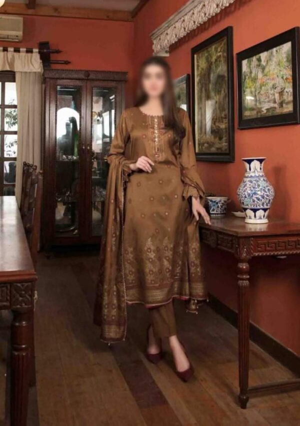 Banarasi Collection Brown