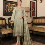 Banarasi Collection Light Green