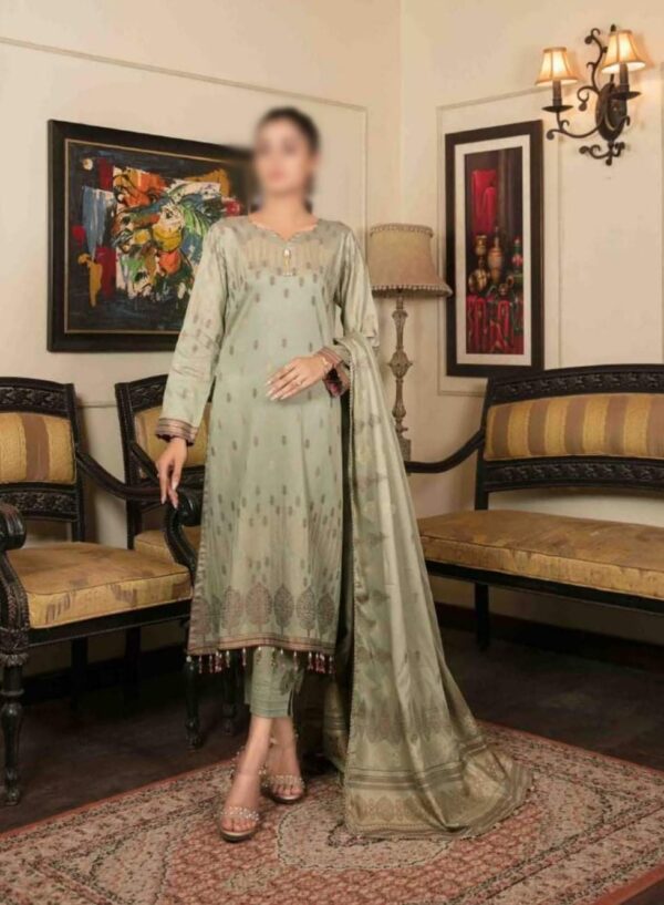 Banarasi Collection Light Green