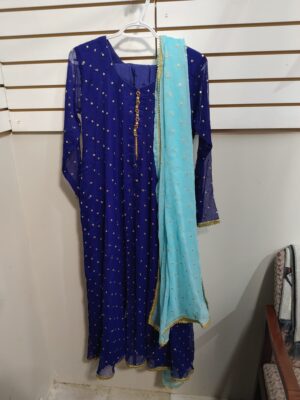 Anarkali Blue